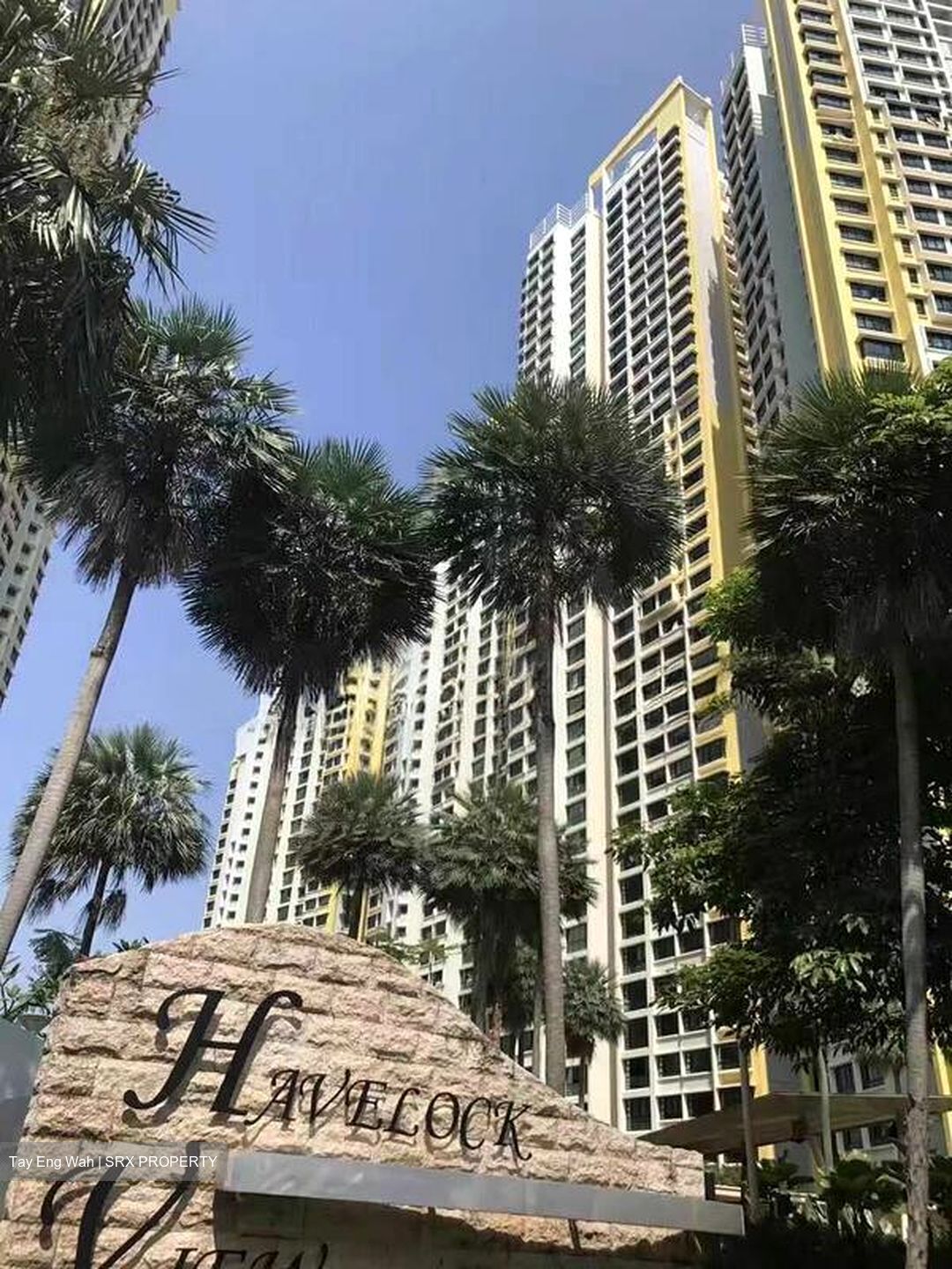 Blk 58 Havelock View (Bukit Merah), HDB 4 Rooms #504587101